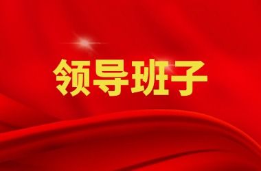 协会主要领导班子